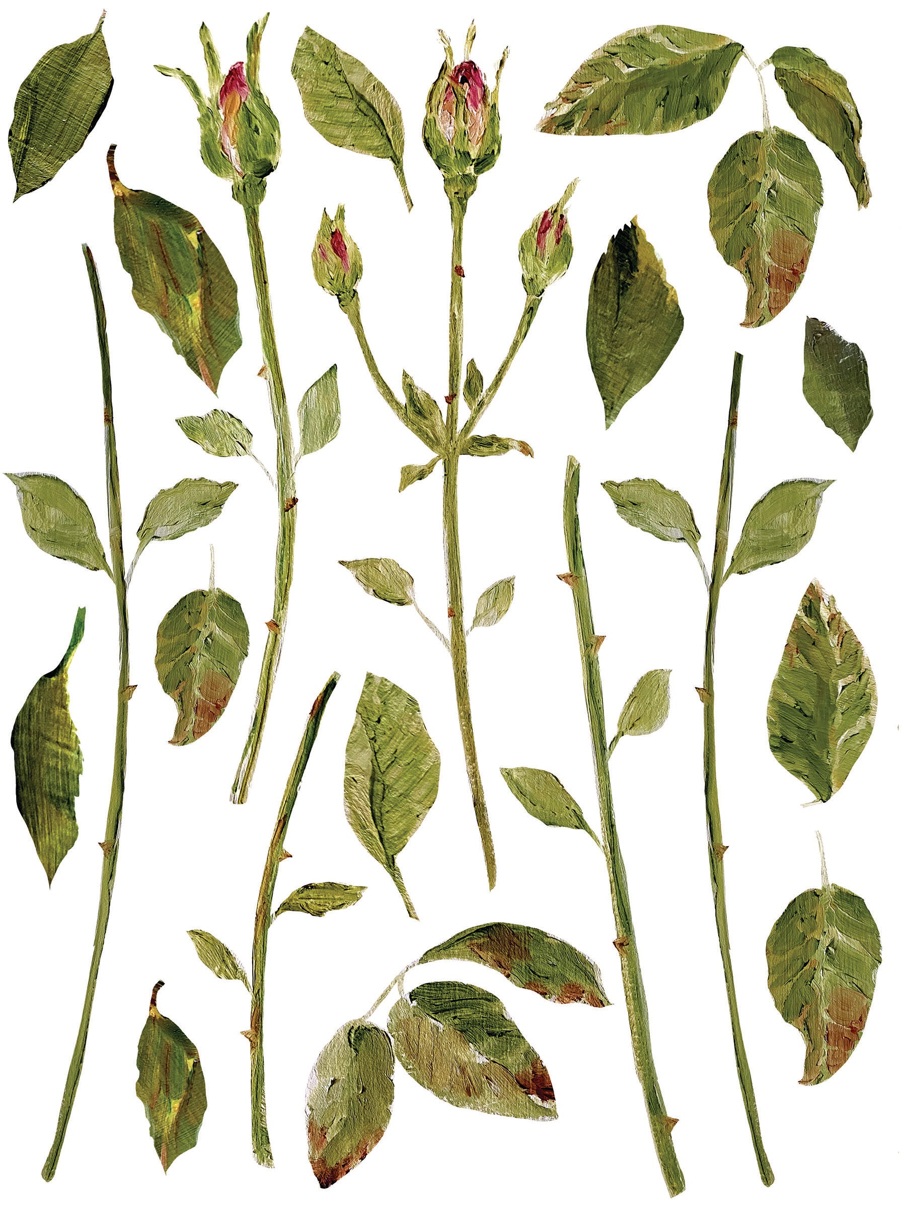 Painterly Florals | Transfer | IOD Iron Orchid Designs