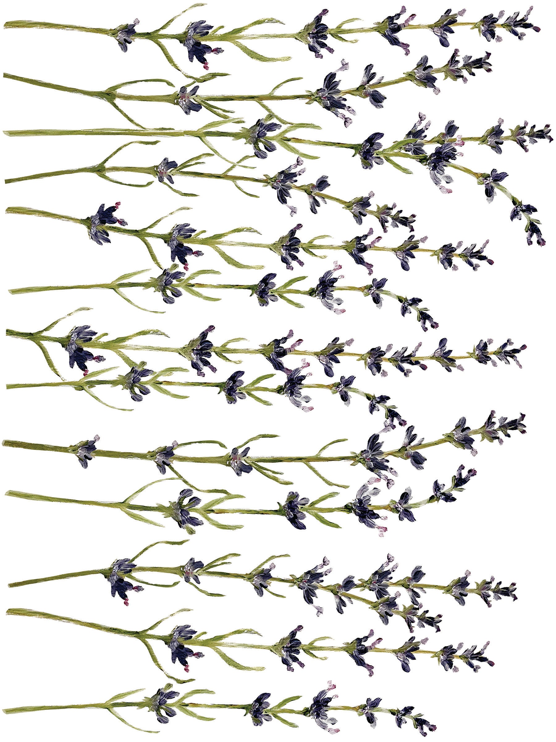 Painterly Florals | Transfer | IOD Iron Orchid Designs