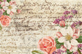 La Mamie Floral | JRV Large 18# Paper