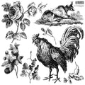 La Campagne | Stamp | IOD Iron Orchid Designs