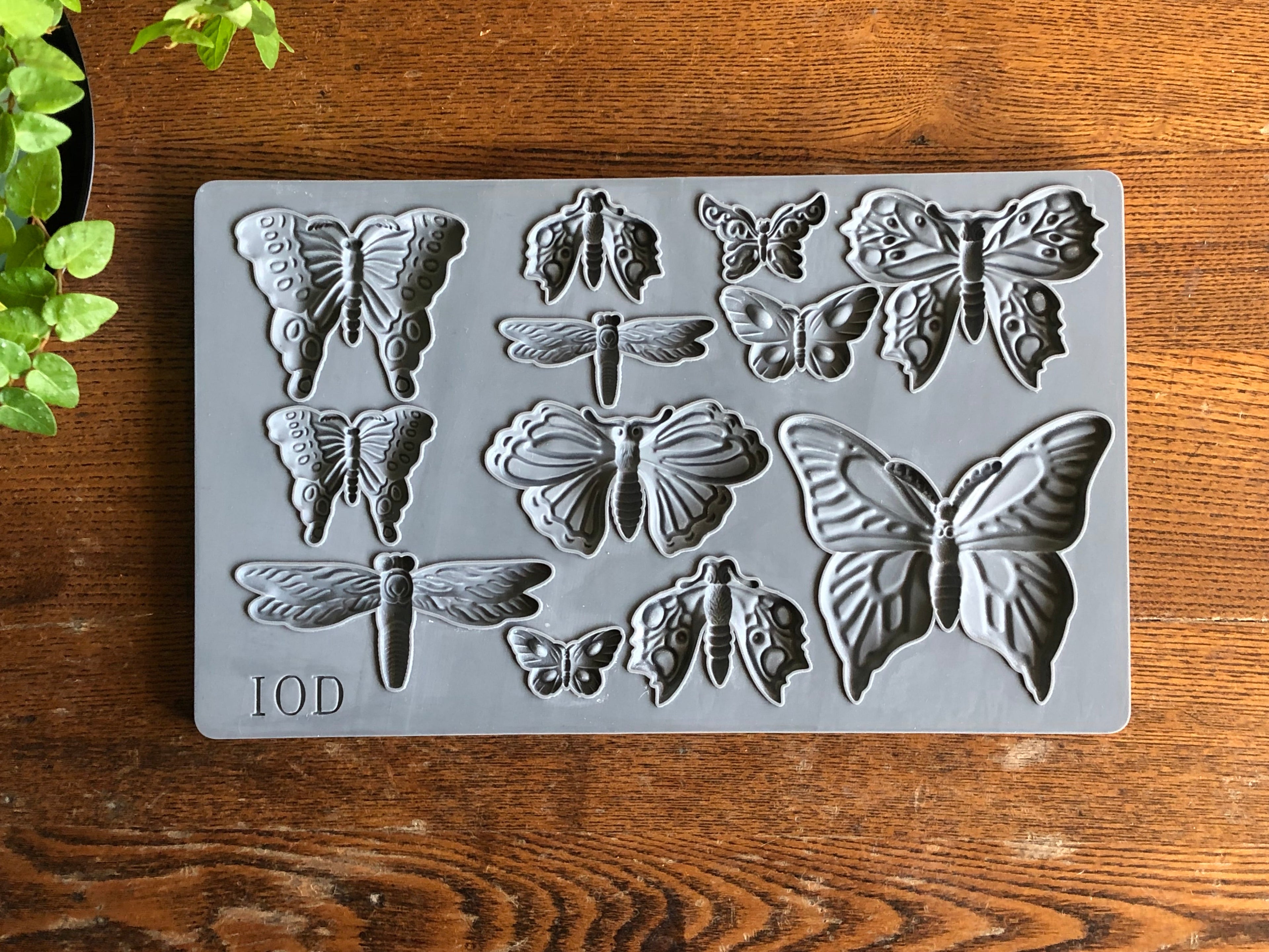 Monarch | Mould | IOD Iron Orchid Designs IOD