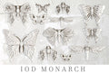 Monarch | Mould | IOD Iron Orchid Designs IOD