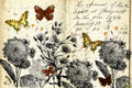 Monarchromatic | JRV Large 18# Paper