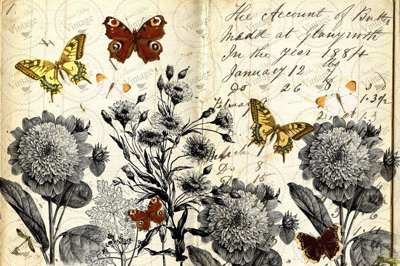 Monarchromatic | JRV Large 18# Paper
