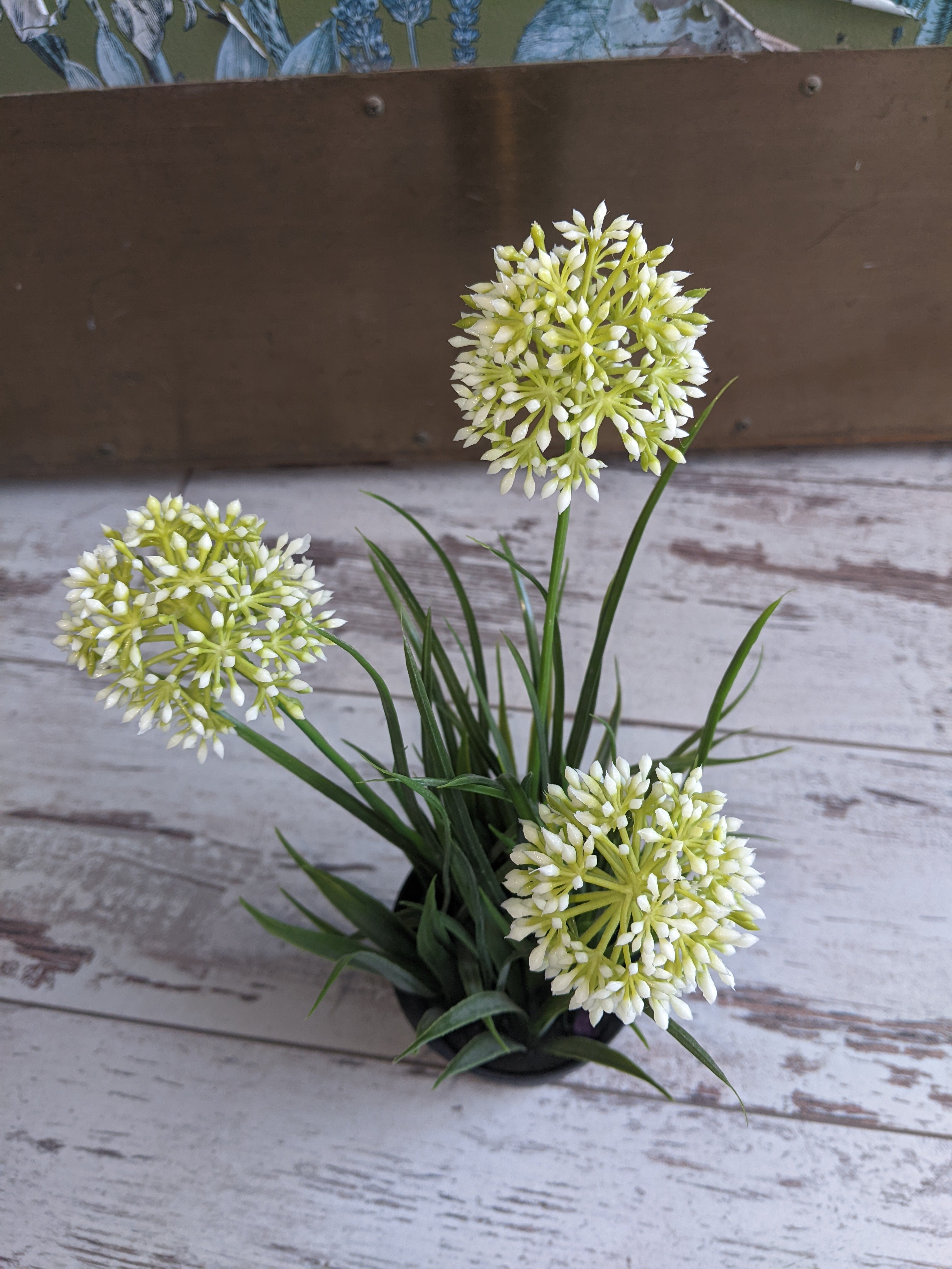Flower in Pot