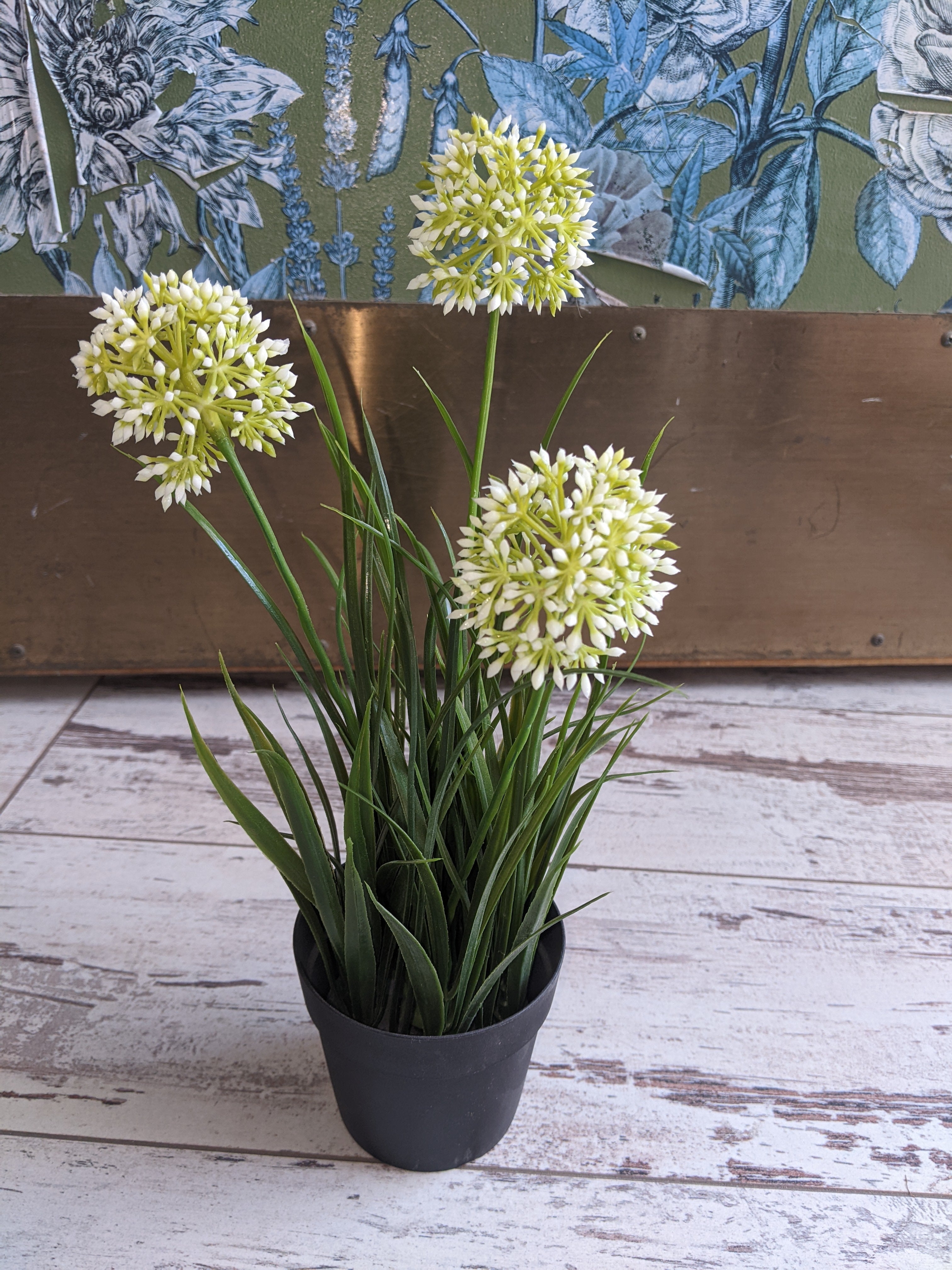 Flower in Pot