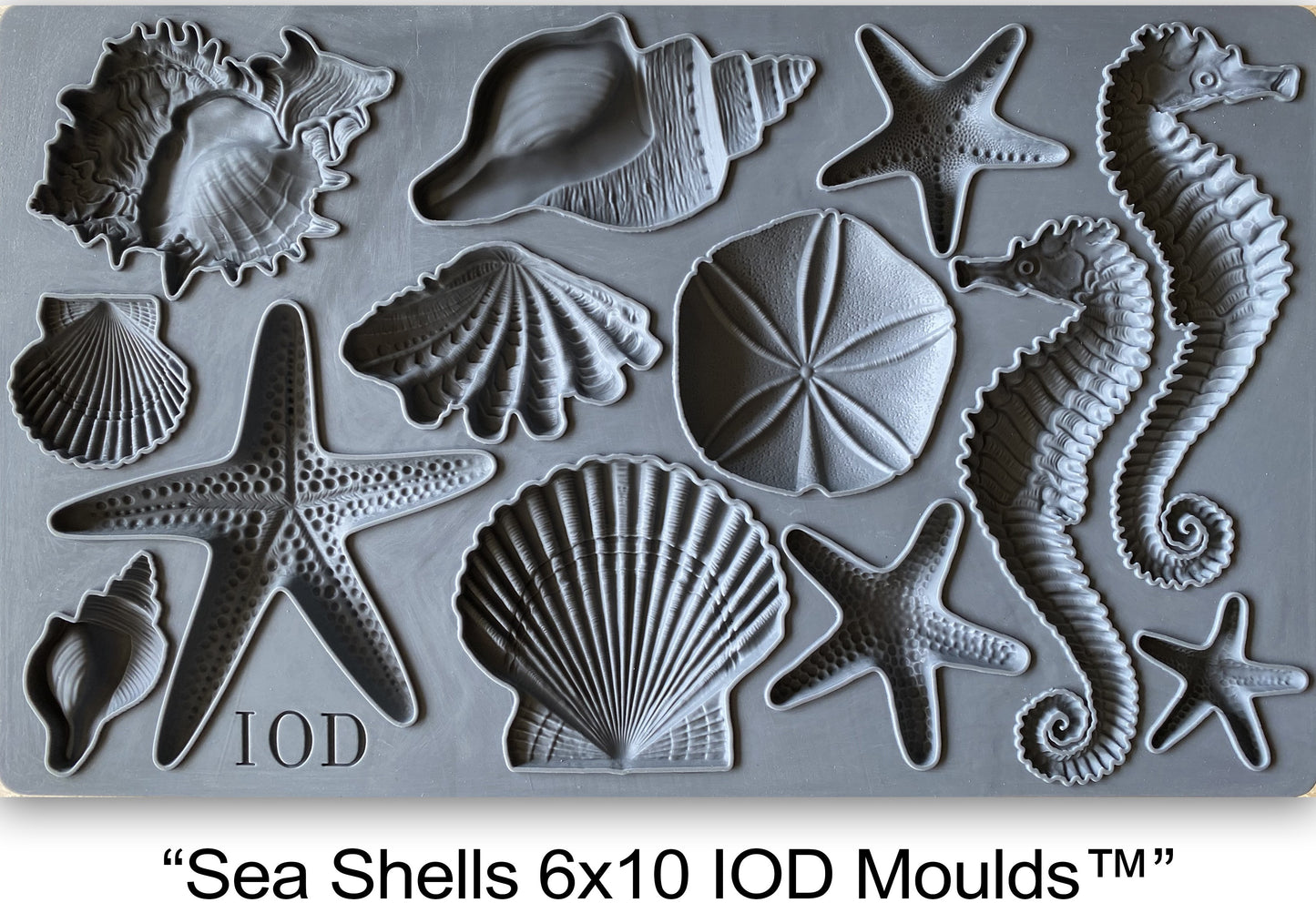 Iron Orchid Designs Sea Shells | IOD Mould