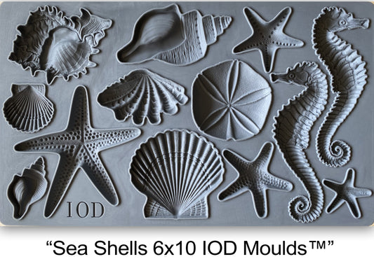 Iron Orchid Designs Sea Shells | IOD Mould
