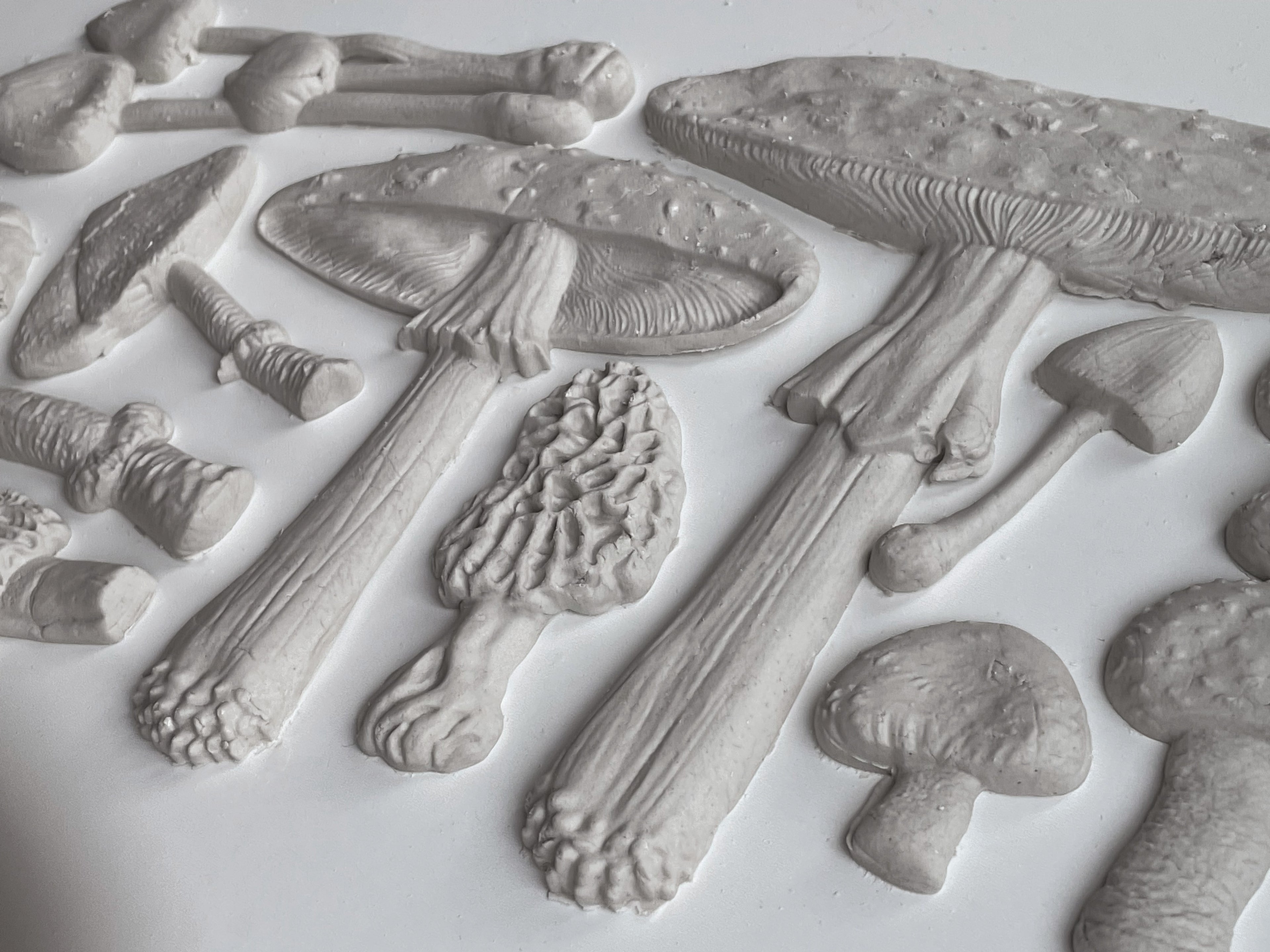 Toadstool | Mould | IOD Iron Orchid Designs