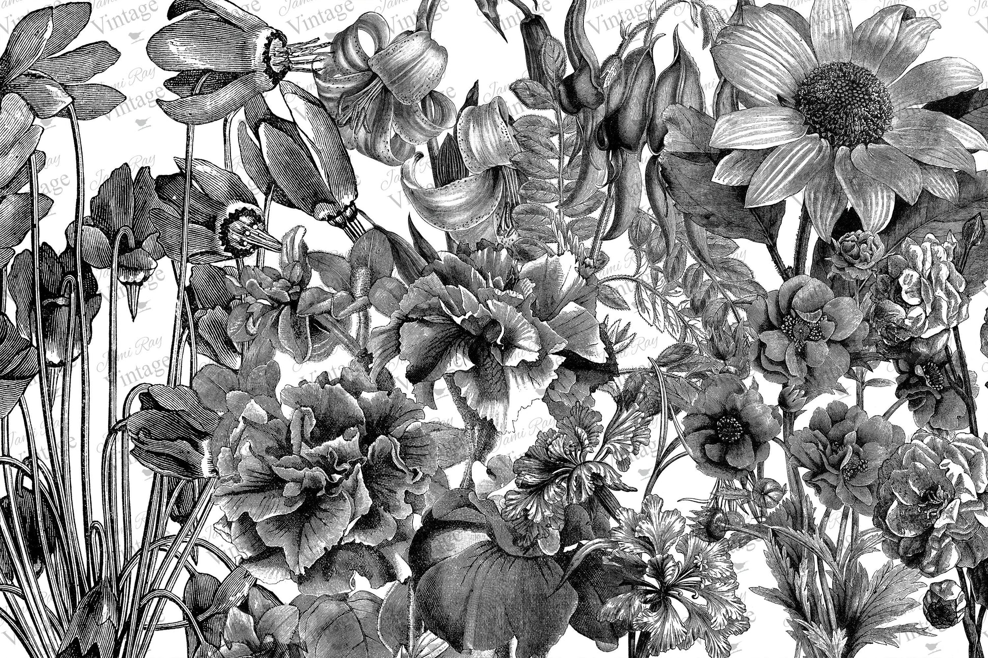 Black And White Floral 18 pound paper made for Decoupage, Tissue Paper  18x20 – Jami Ray Vintage