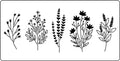 Wildflower 2 | JRV Stencil