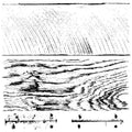 Barnwood Planks | Stamp | IOD Iron Orchid Designs IOD