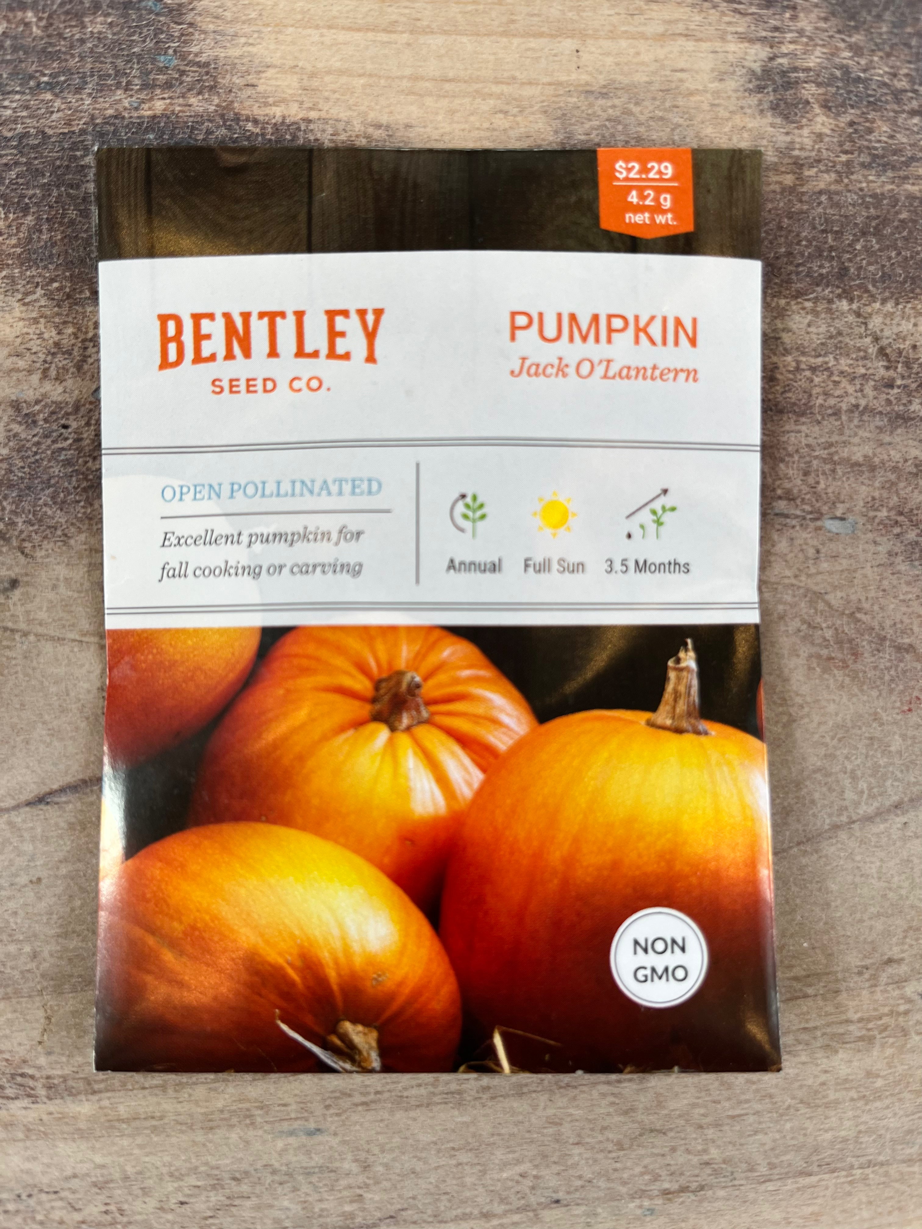 Bentley Seeds