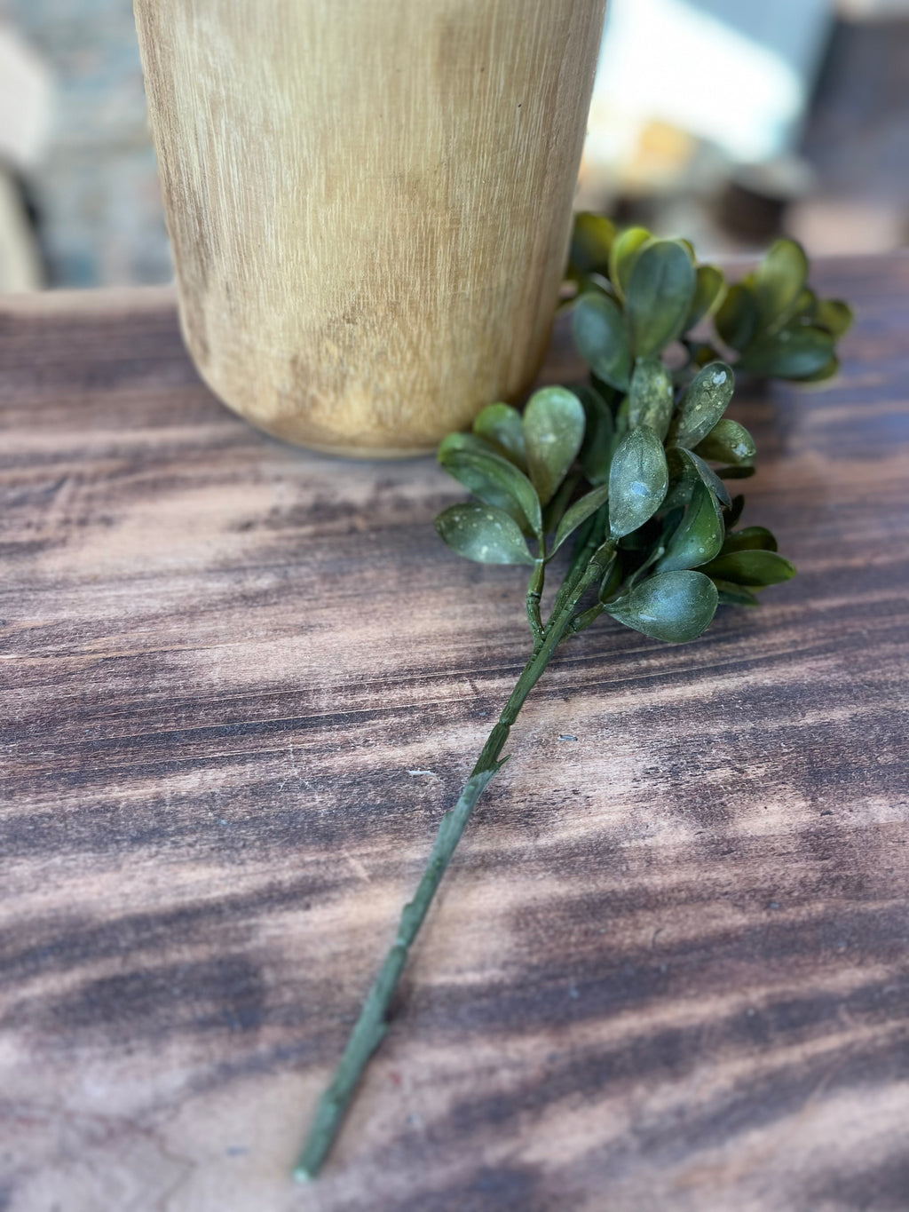 Eucalyptus Bunch