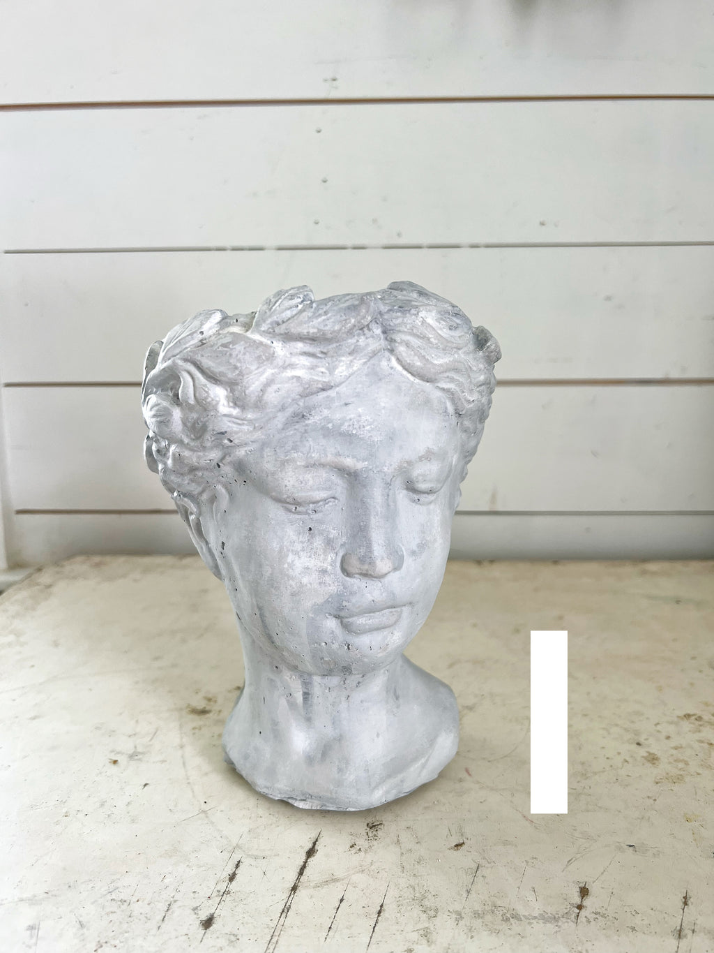 Hand Painted Bust Pots