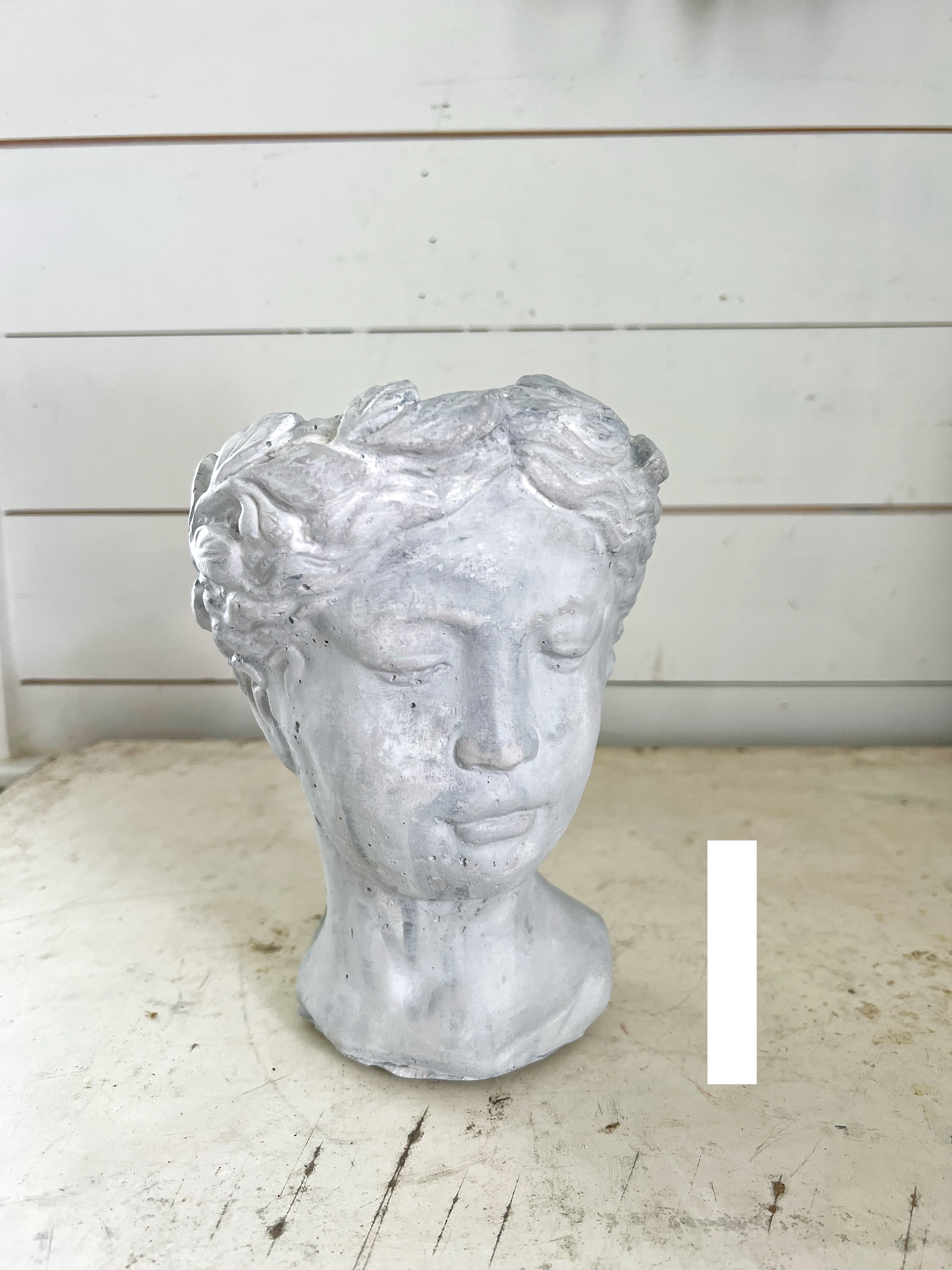 Hand Painted Bust Pots