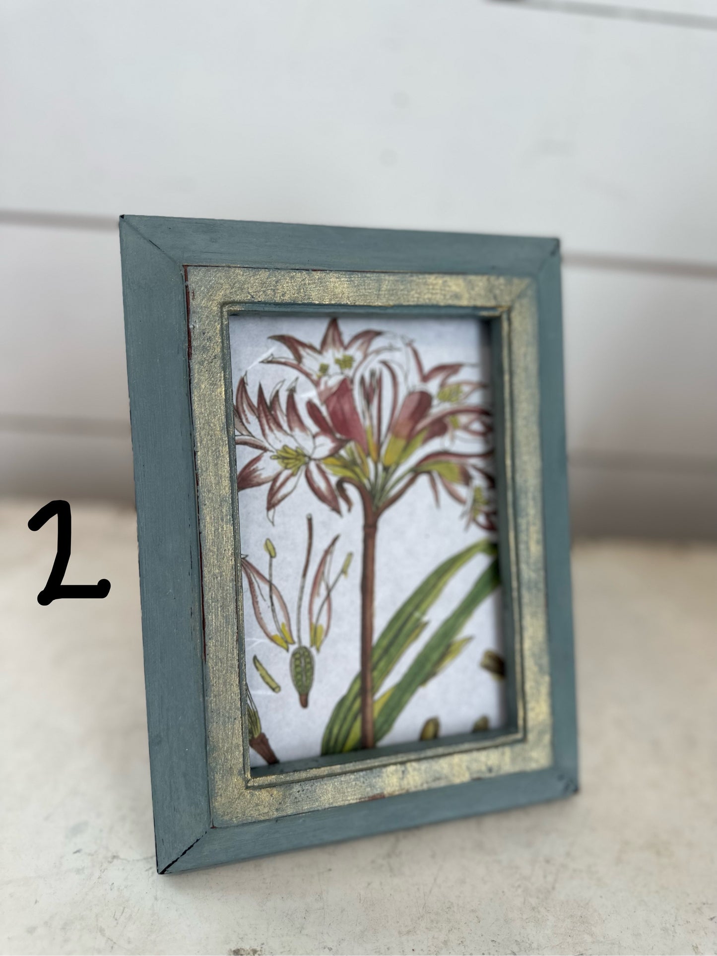 Small Floral Prints - Hand Painted Frames