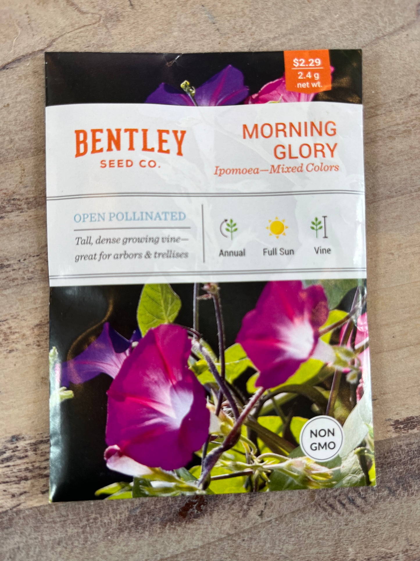 Bentley Seeds