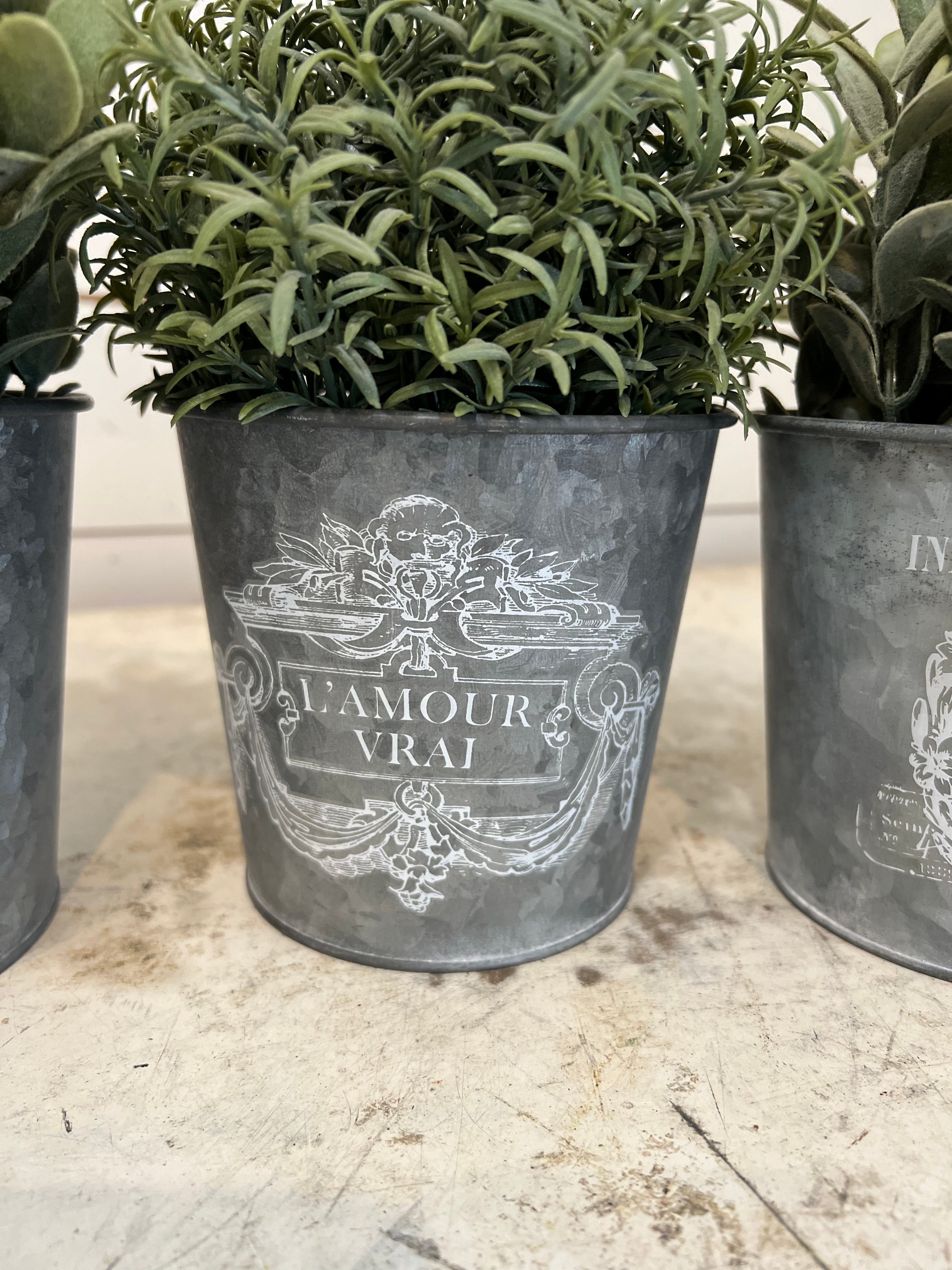 French style bucket