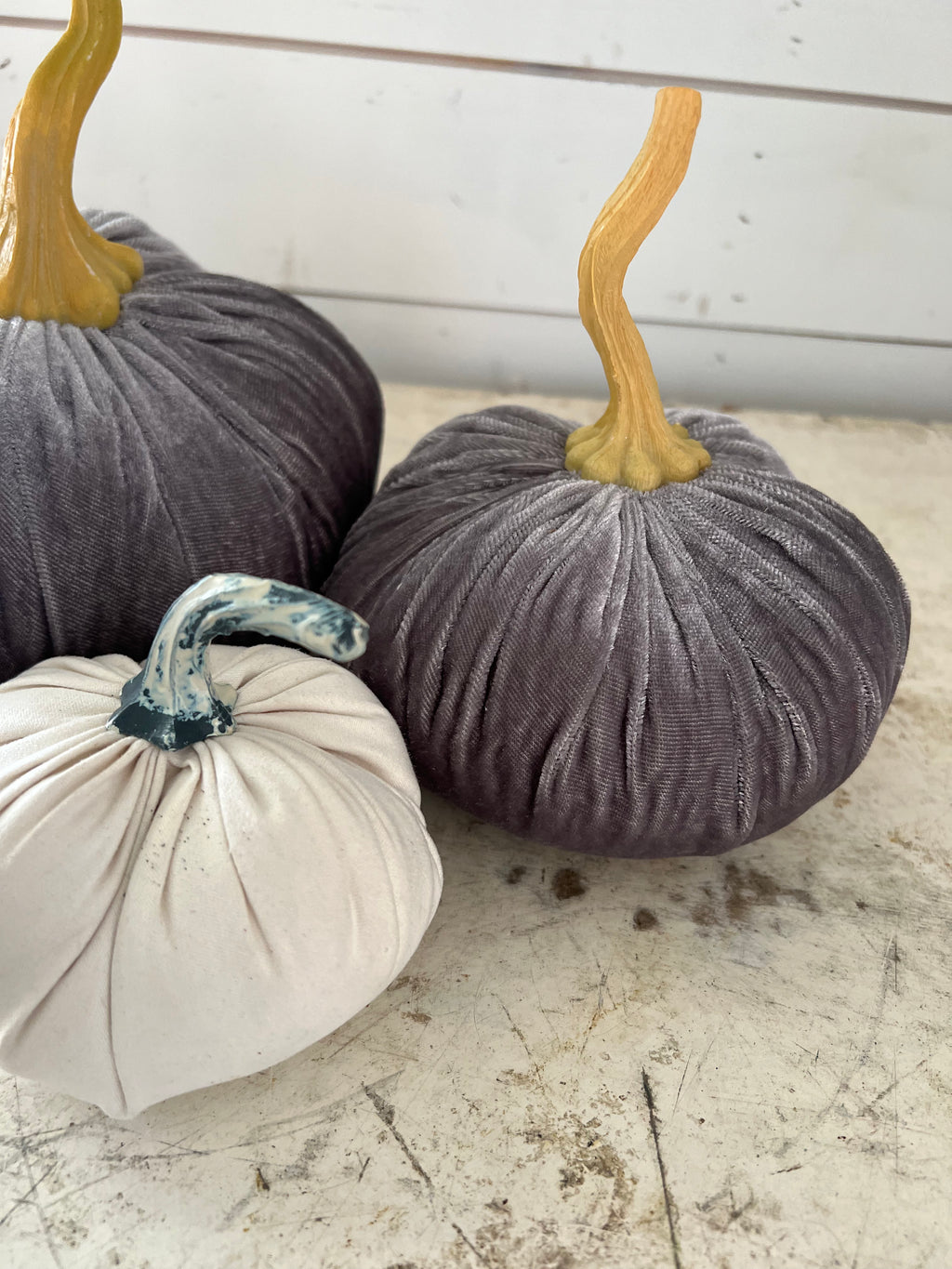 Velvet Pumpkin Trio