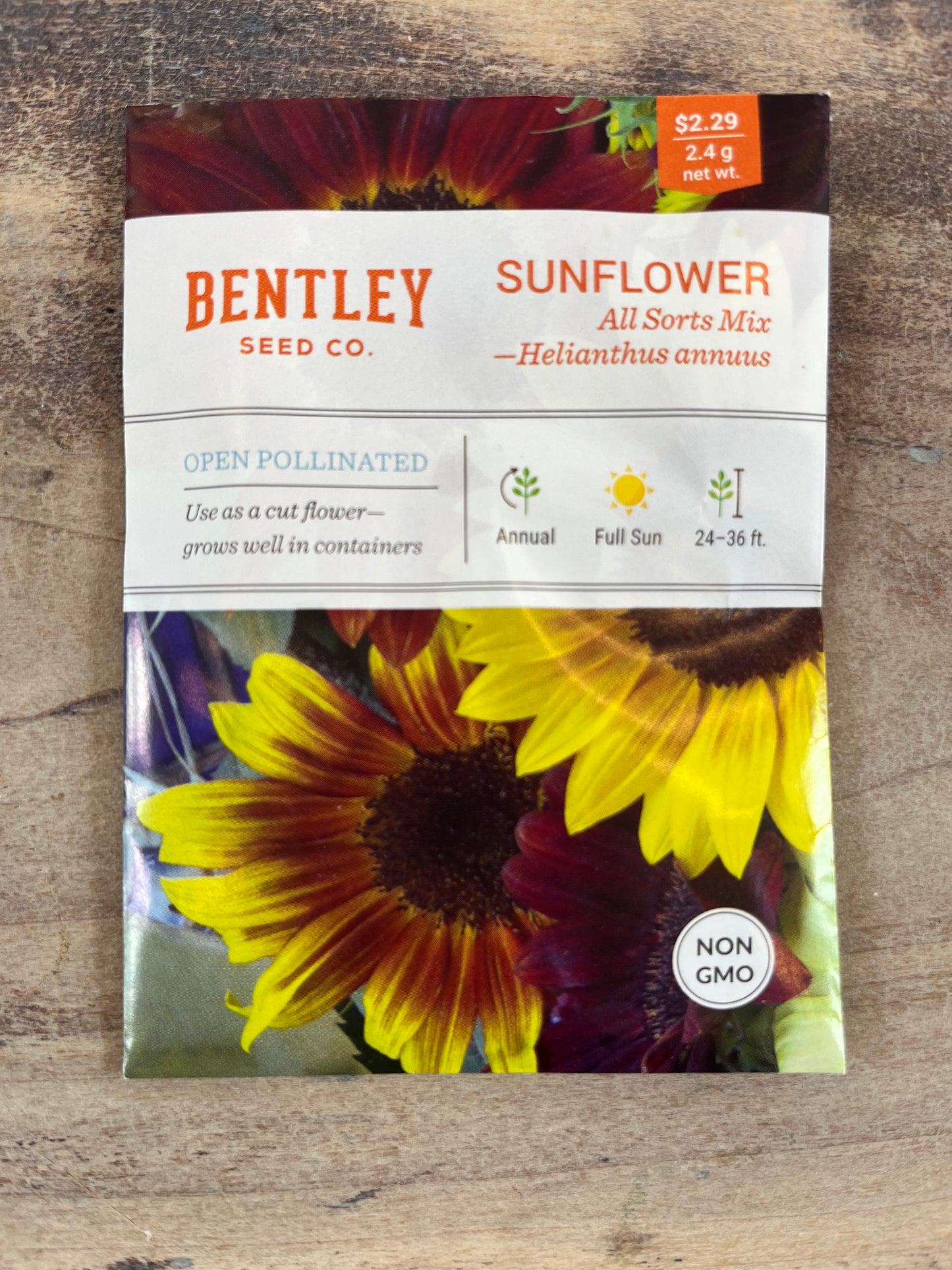 Bentley Seeds