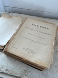 1889 Bible Pages - 5 pages