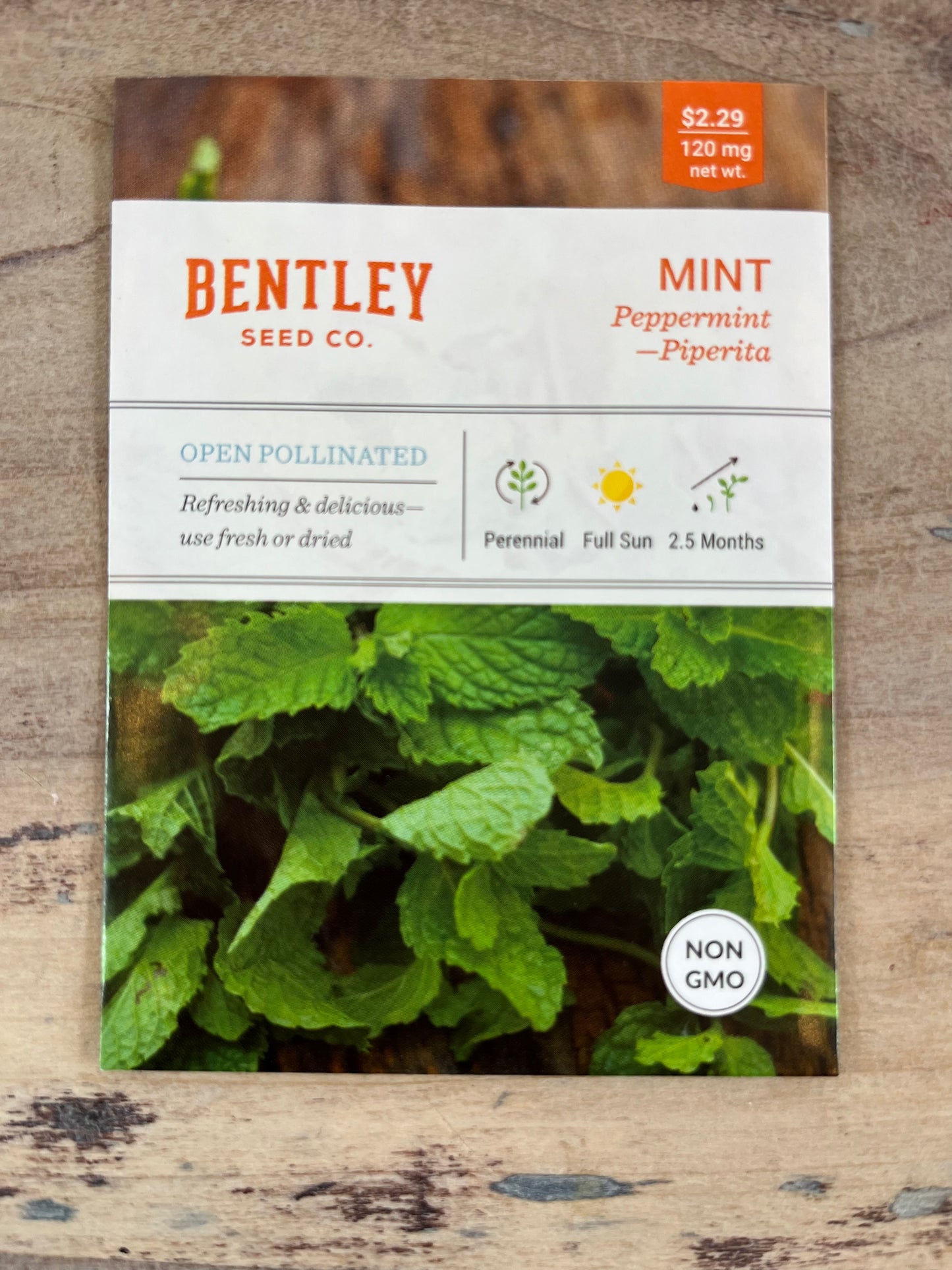 Bentley Seeds