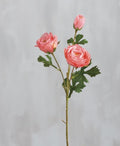 Pink Peony Pick