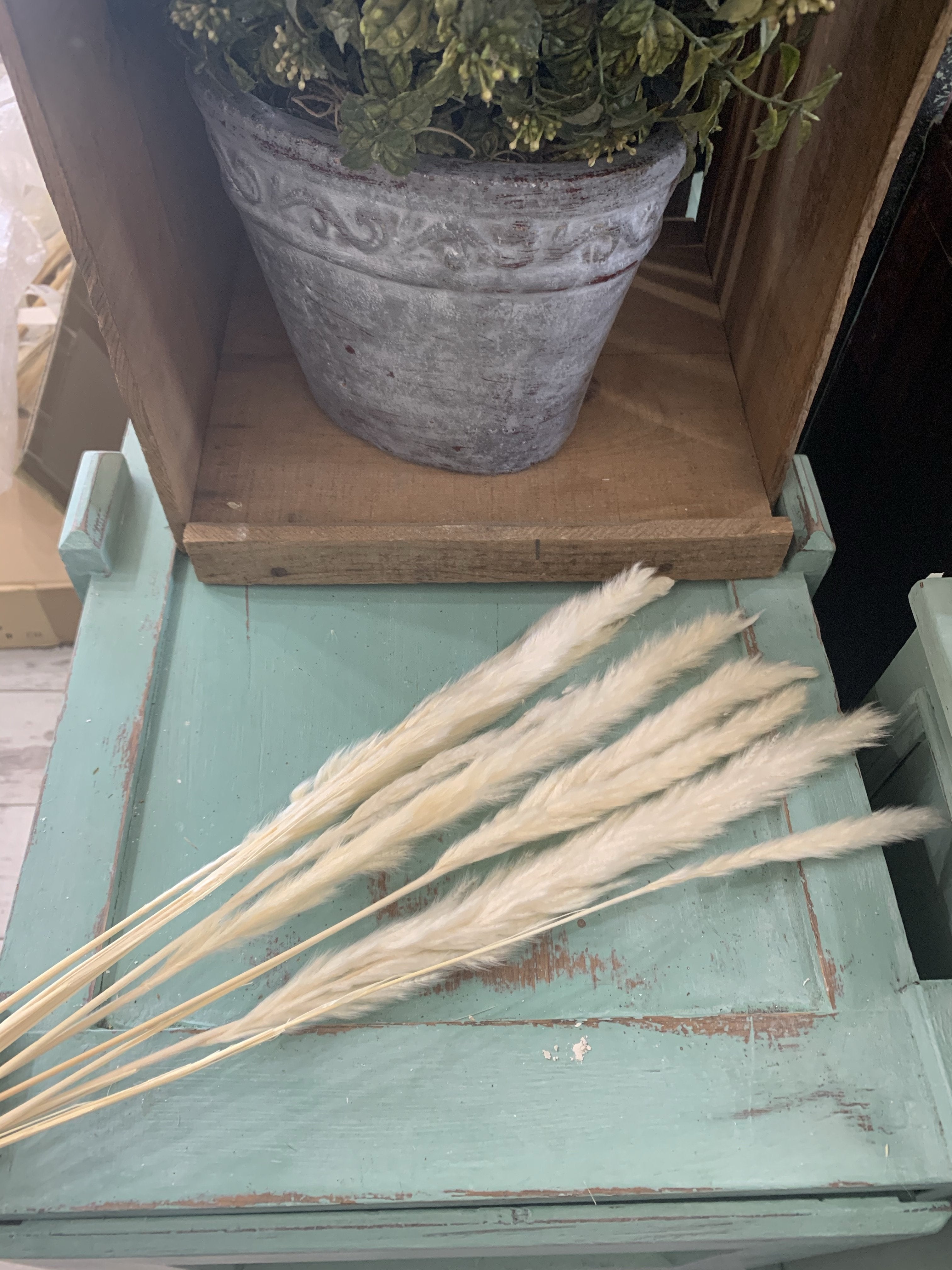 Pampas bunch