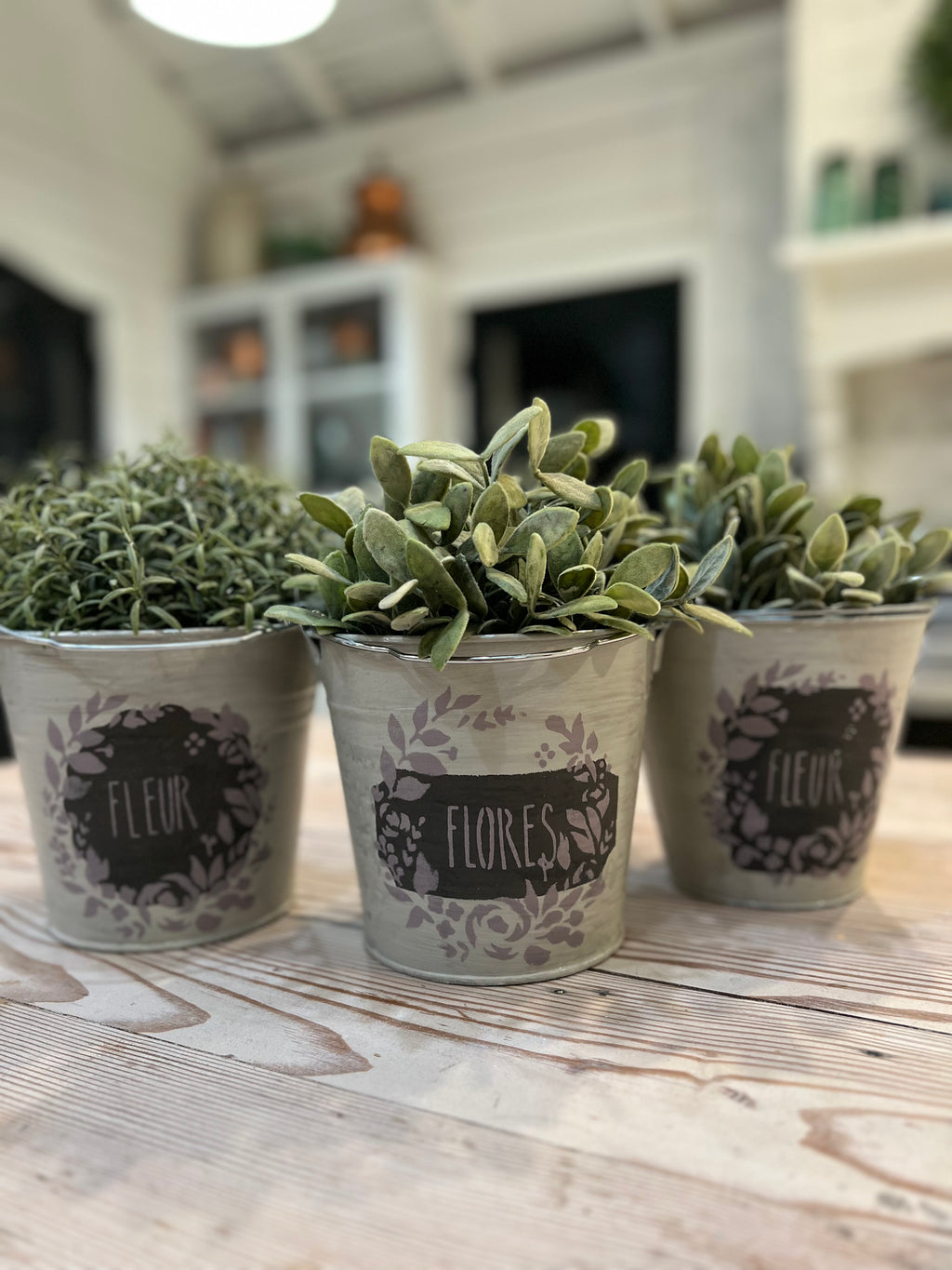 Buckets sold individually  - Hand painted