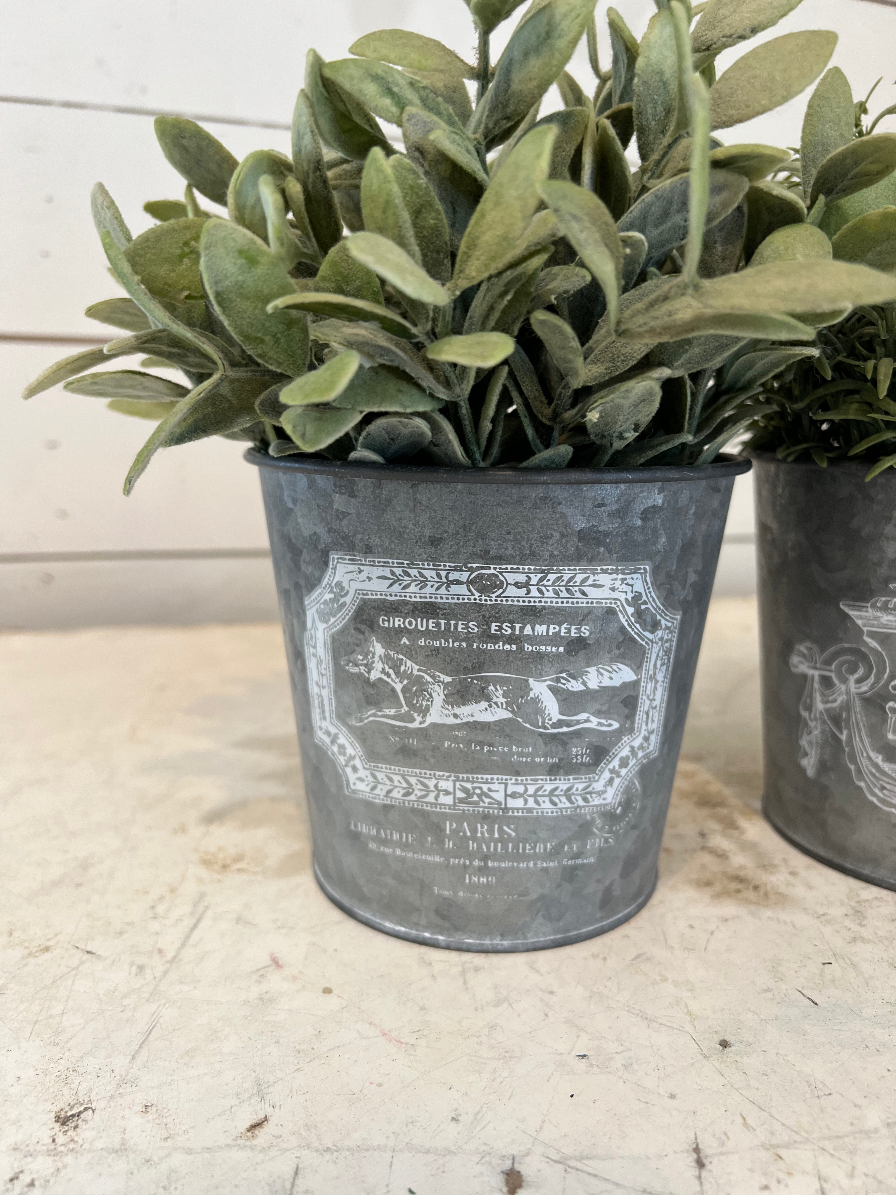 French style bucket