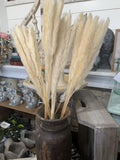 Pampas bunch
