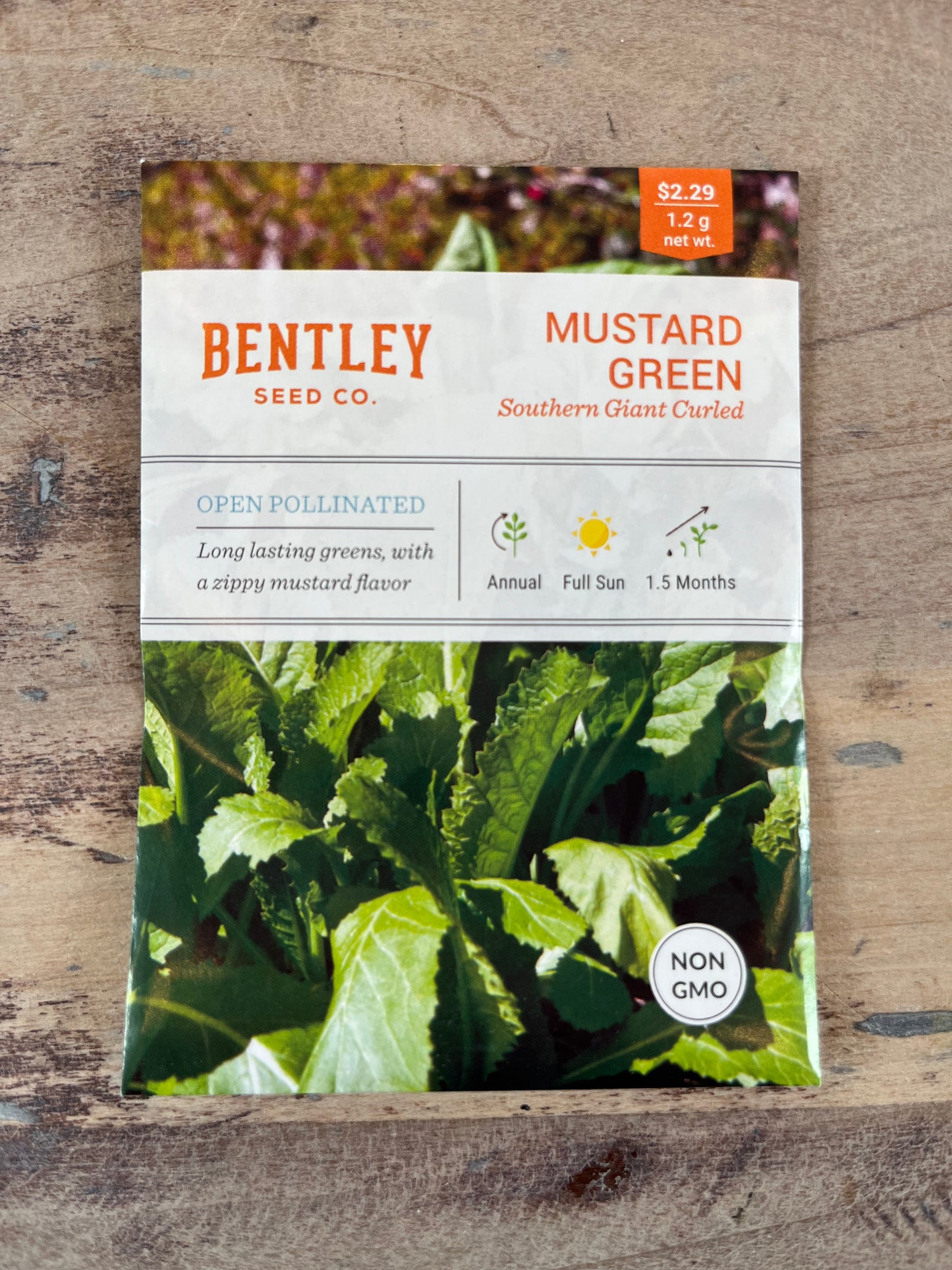 Bentley Seeds