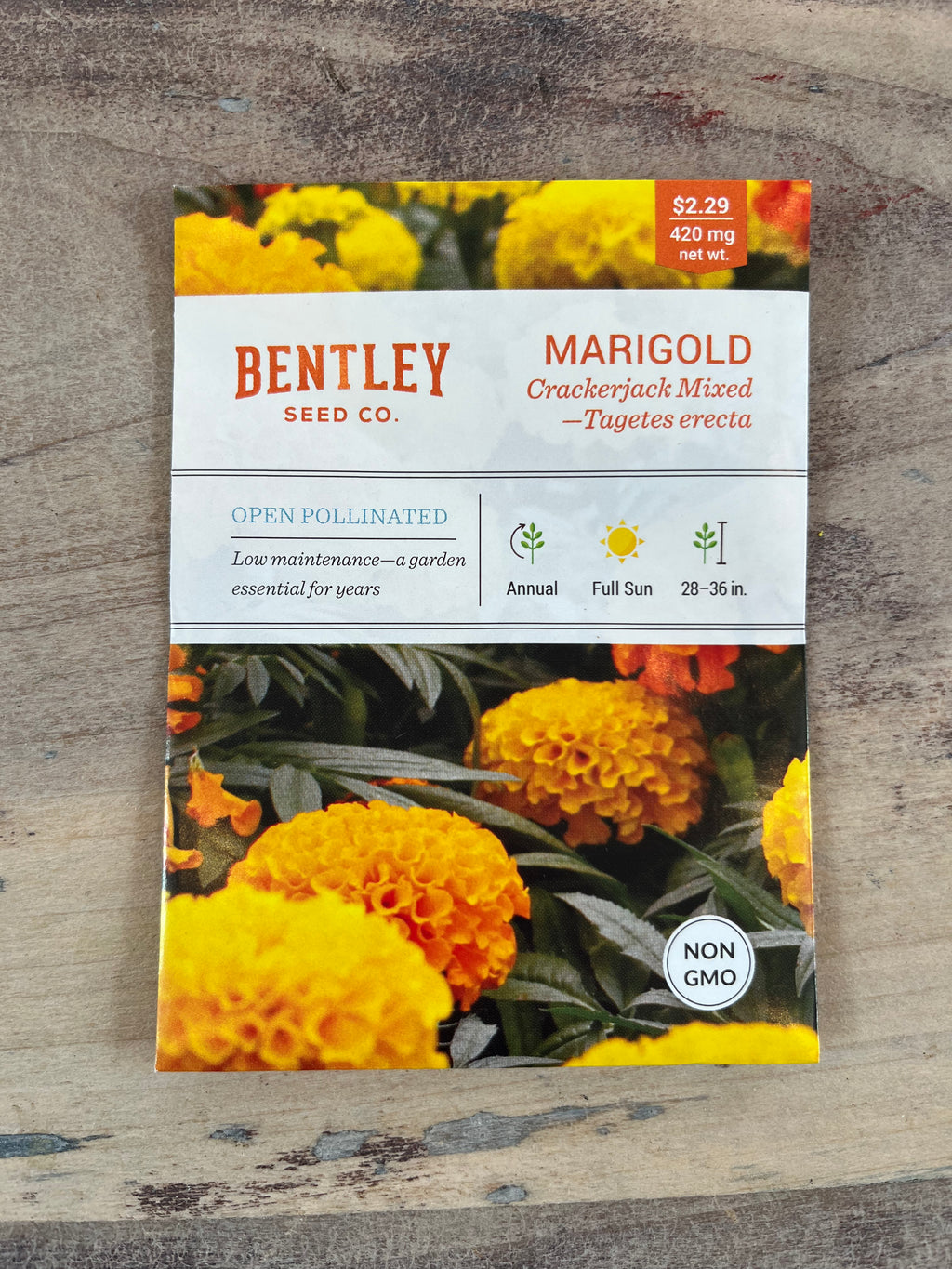 Bentley Seeds