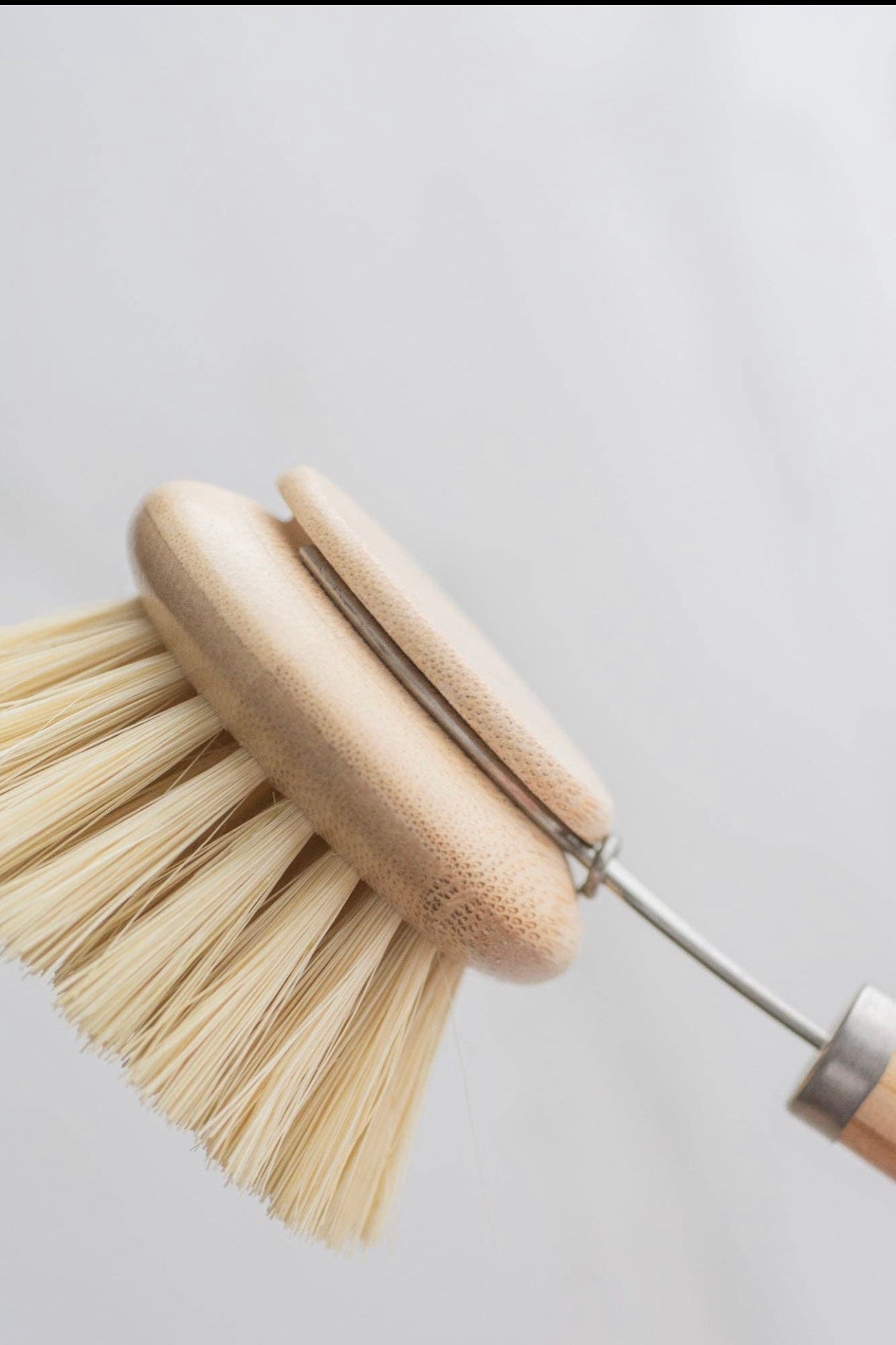 Long Handled Dish Brush