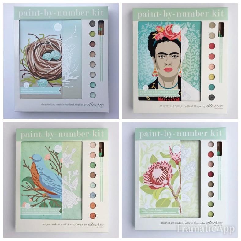 Paint by Number Kit