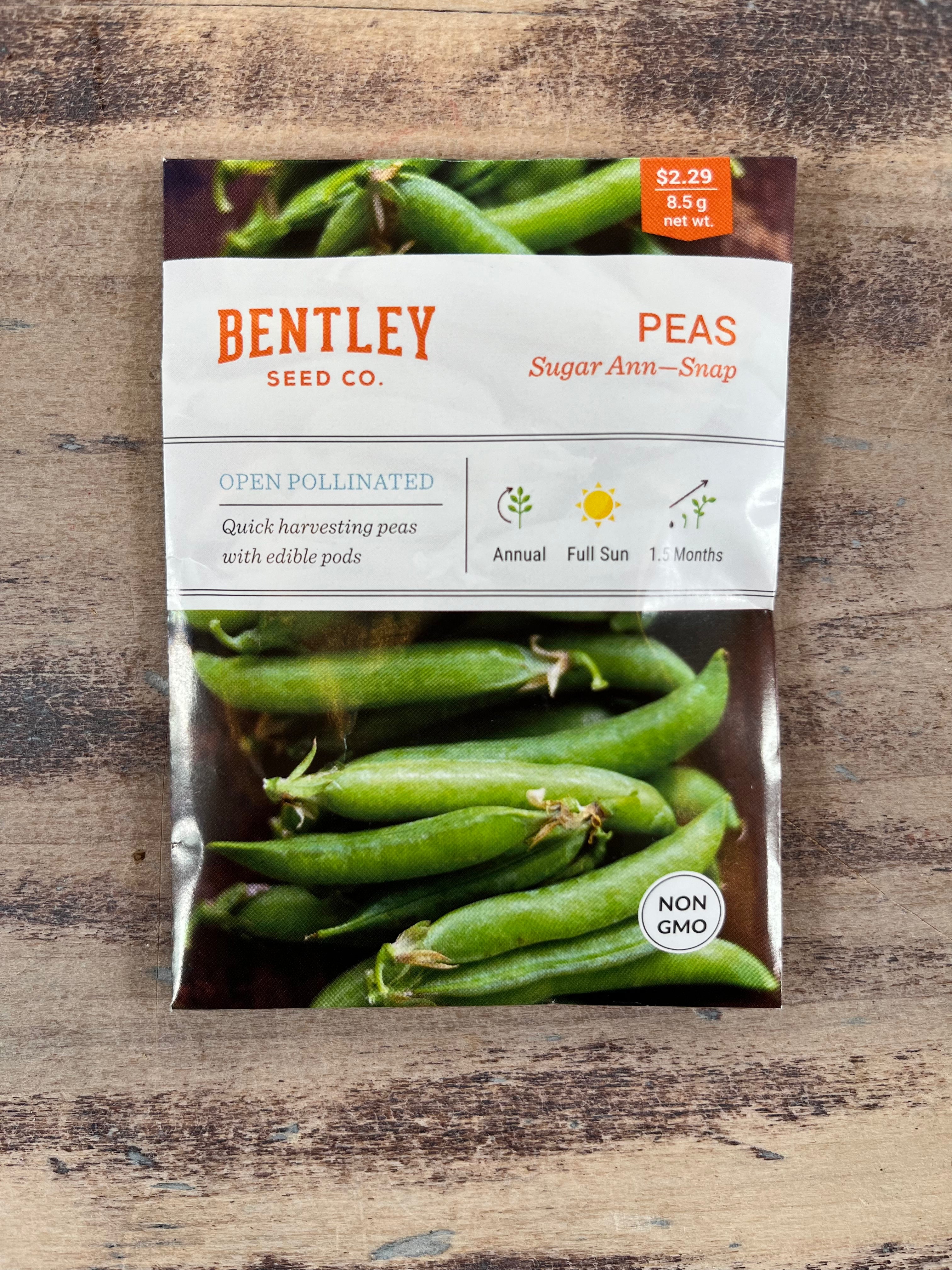 Bentley Seeds