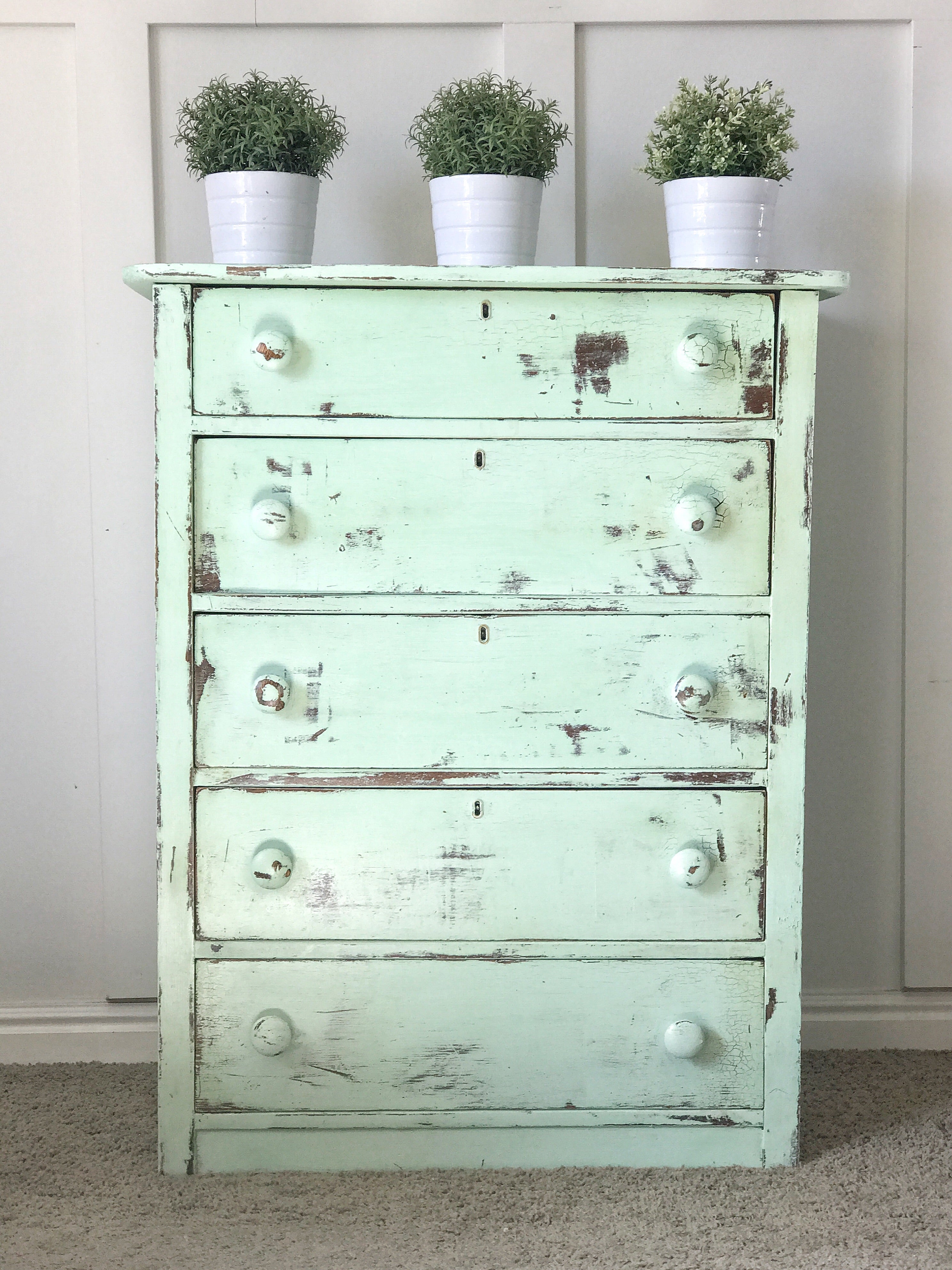 Mint Chip | DIY Paint DIY Paint