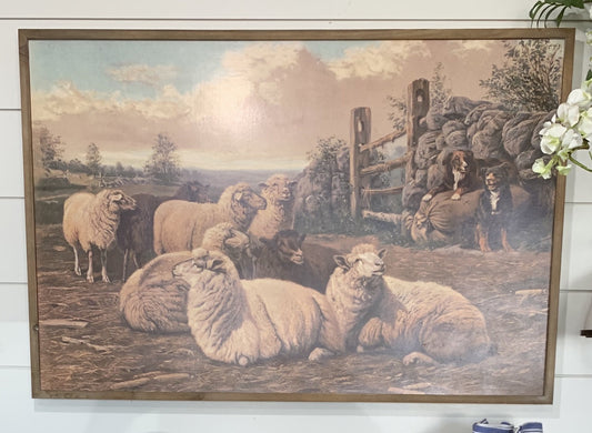 Farm Sheep Framed Print
