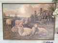 Farm Sheep Framed Print