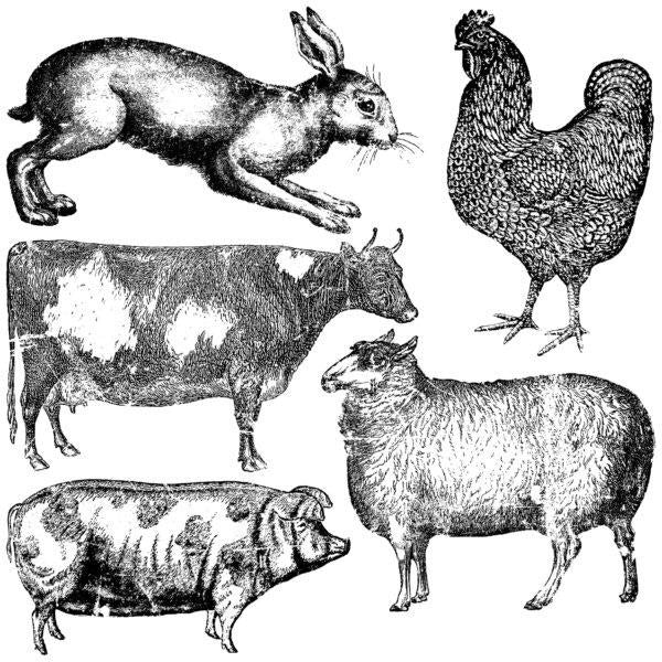 Farm Animals | Stamp | IOD Iron Orchid Designs IOD