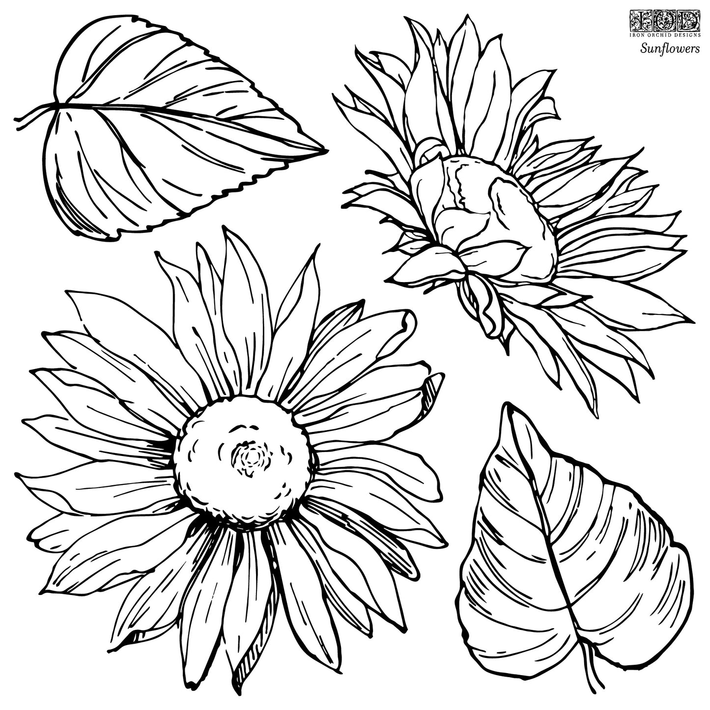 Iron Orchid Designs Sunflowers | IOD Stamp