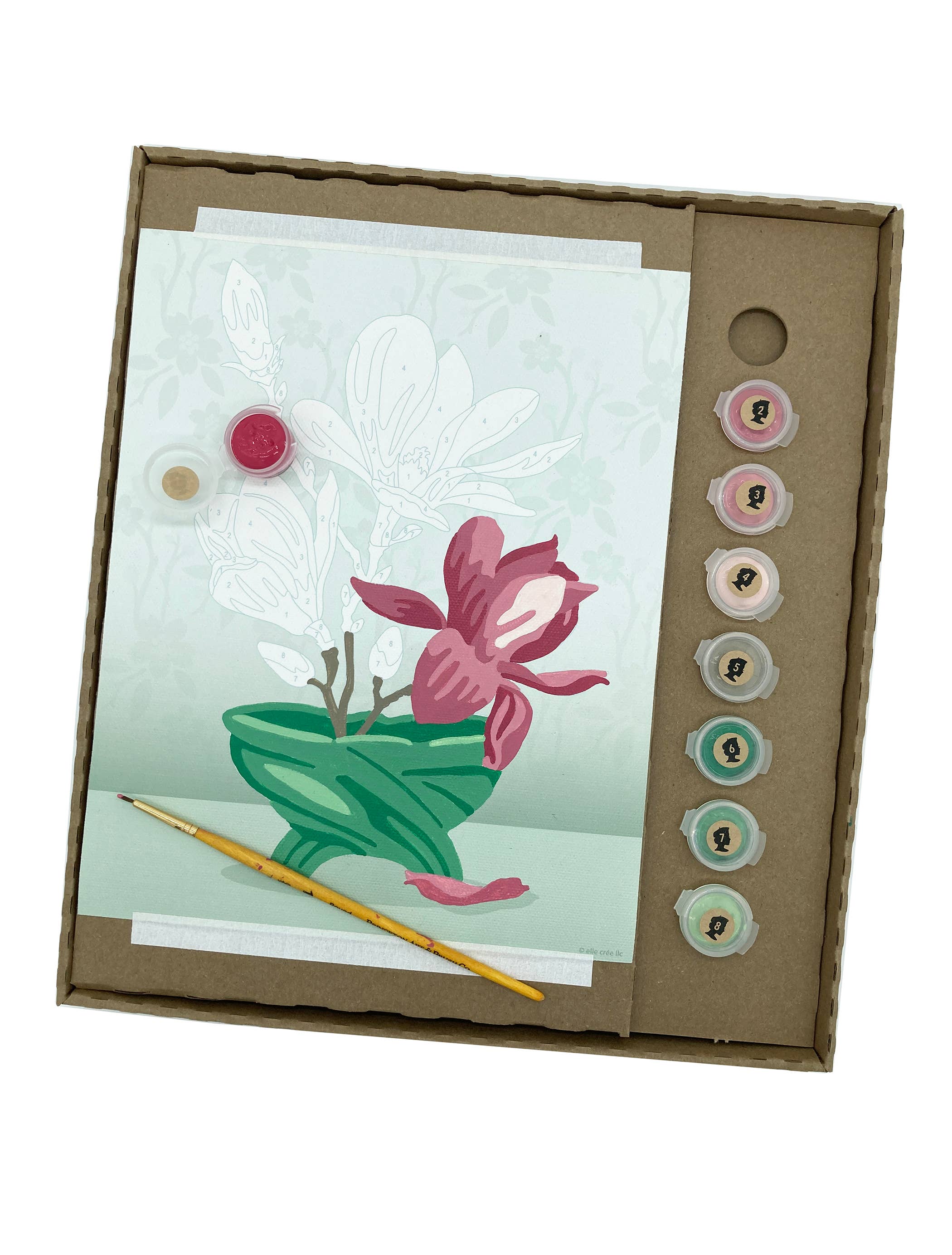 Paint by Number Kit