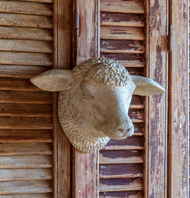 Weathered Sheep's Head